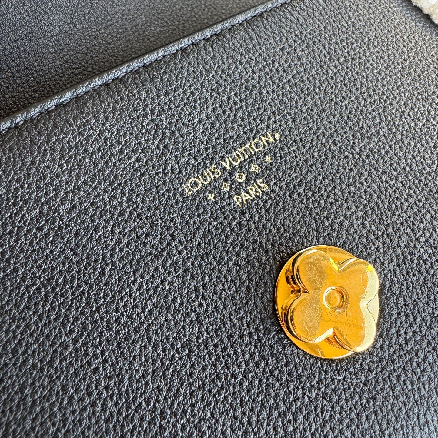 Louis Vuitton Shearling Pont 9 Soft PM