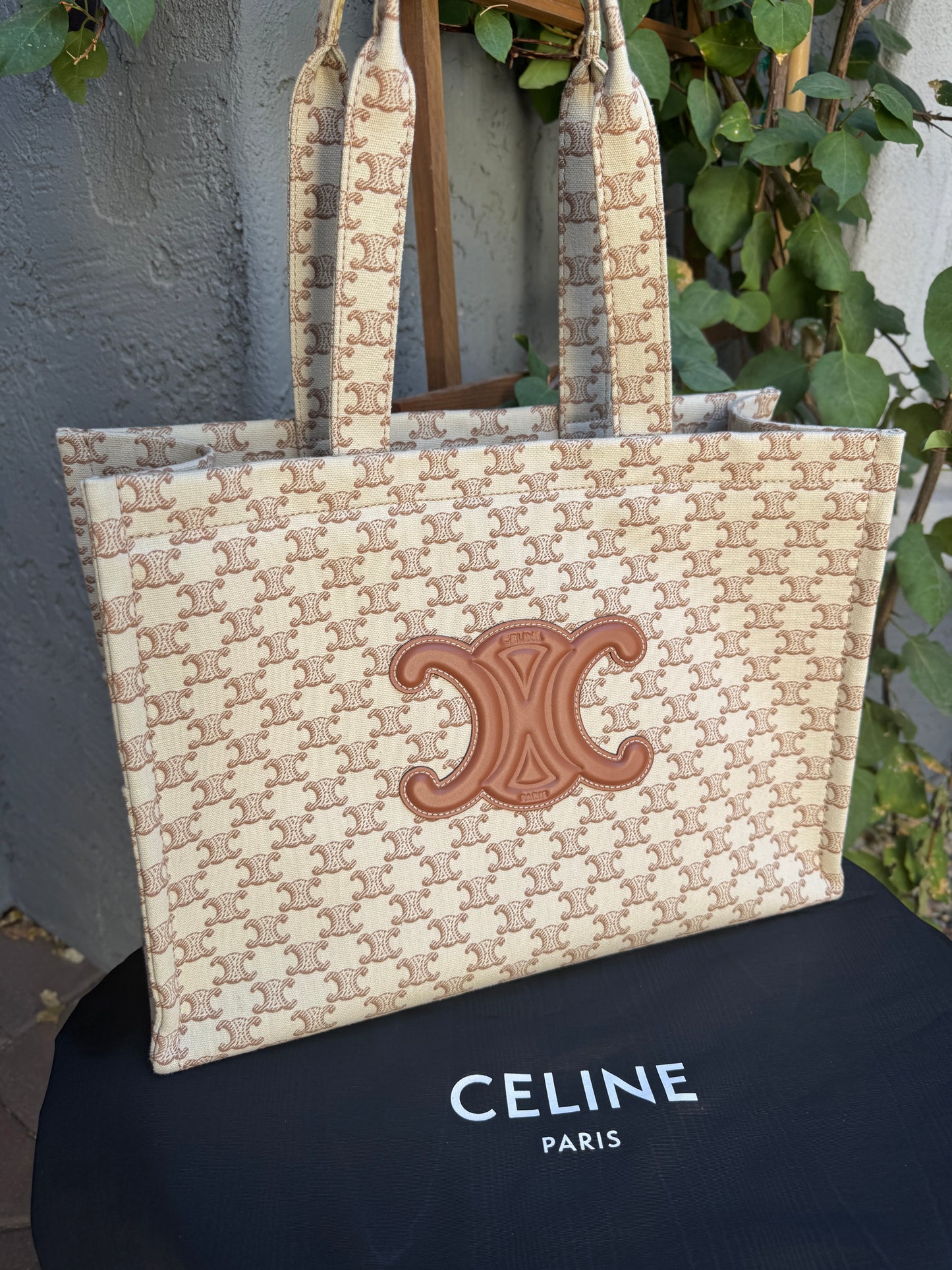 Celine Large Cabas Thais Triomphe Canvas Print Tote