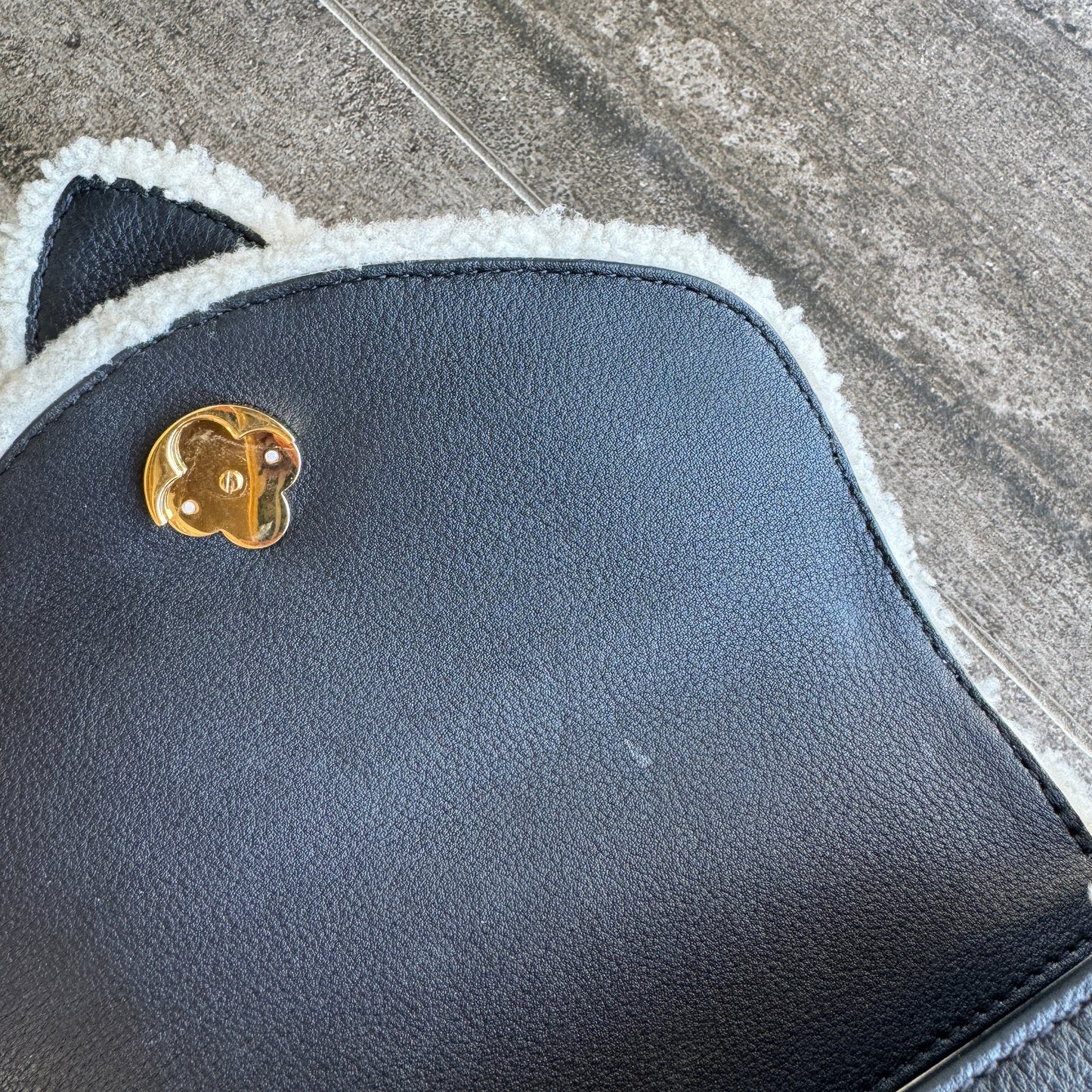Louis Vuitton Shearling Pont 9 Soft PM
