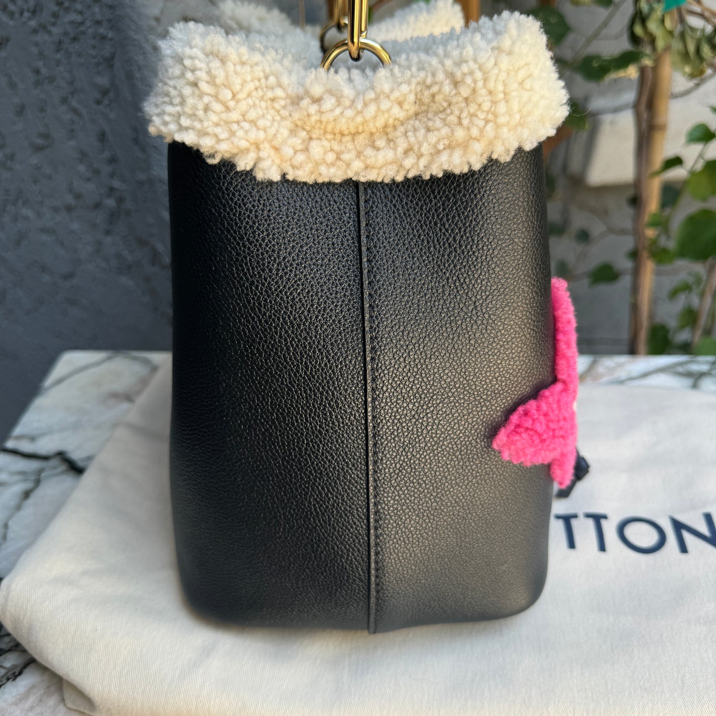 Louis Vuitton Monogram Teddy NeoNoe MM with Pouch