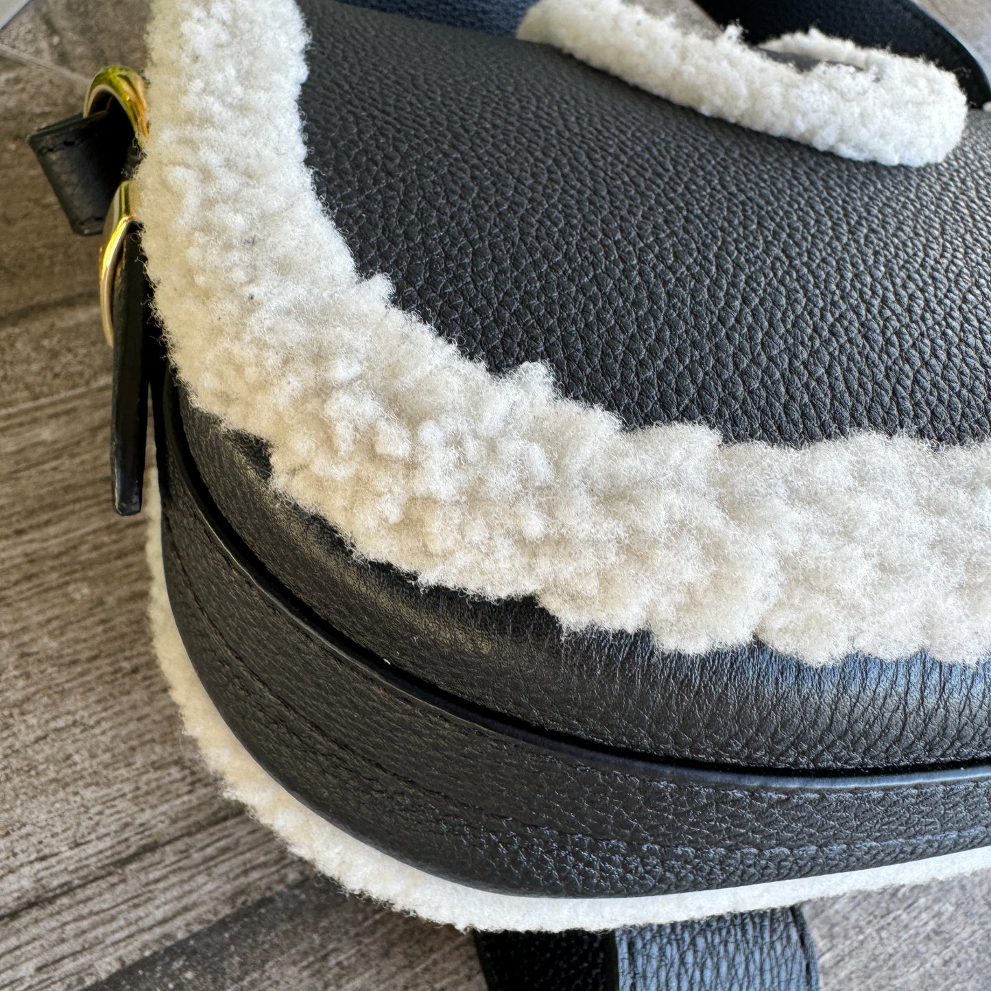 Louis Vuitton Shearling Pont 9 Soft PM