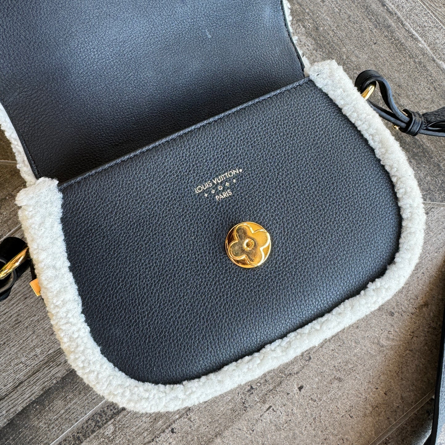 Louis Vuitton Shearling Pont 9 Soft PM