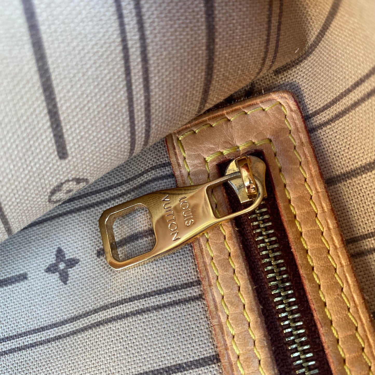Louis Vuitton Monogram Delightful GM Hobo