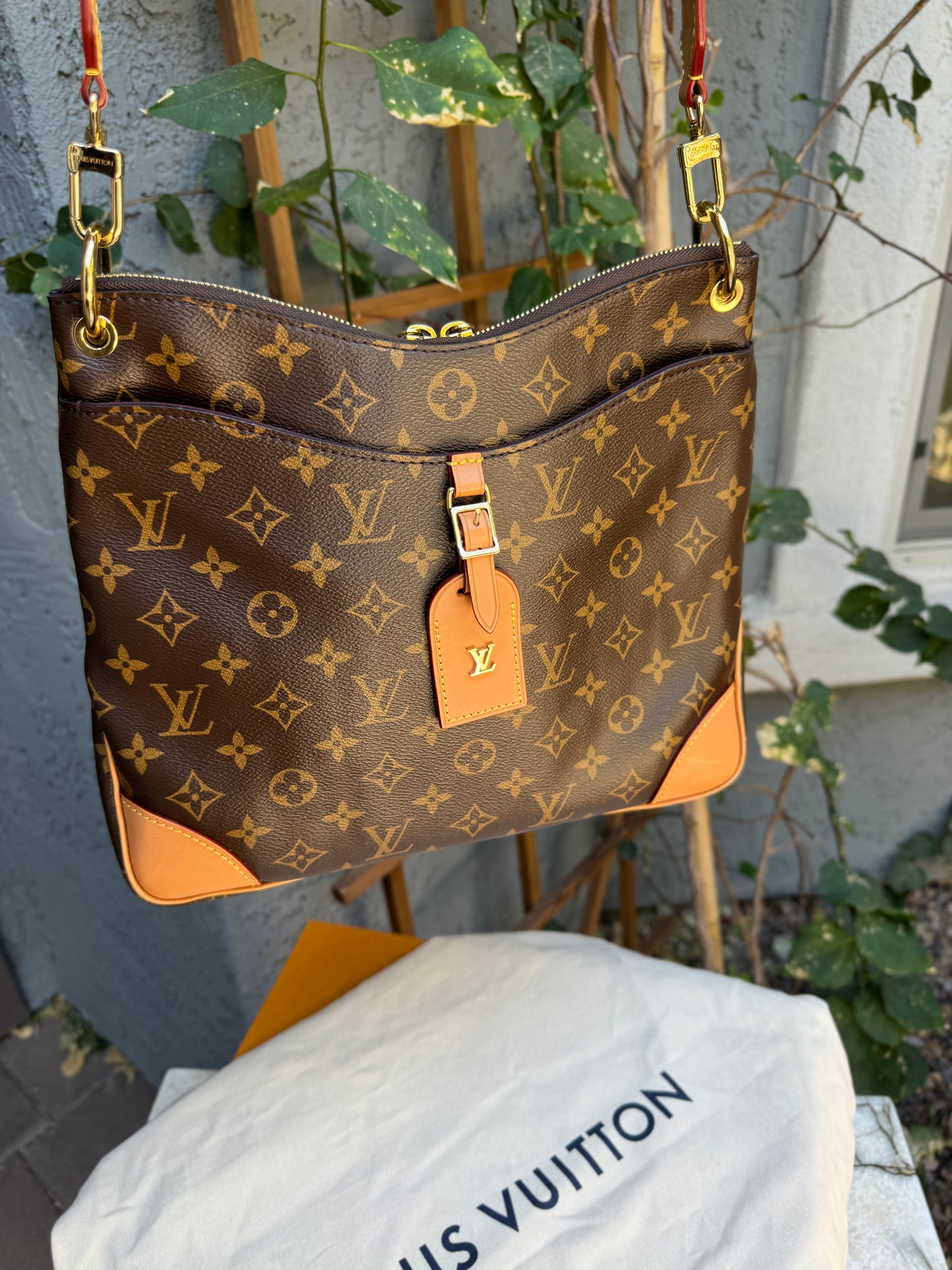 Louis Vuitton Monogram Odeon MM Crossbody NM