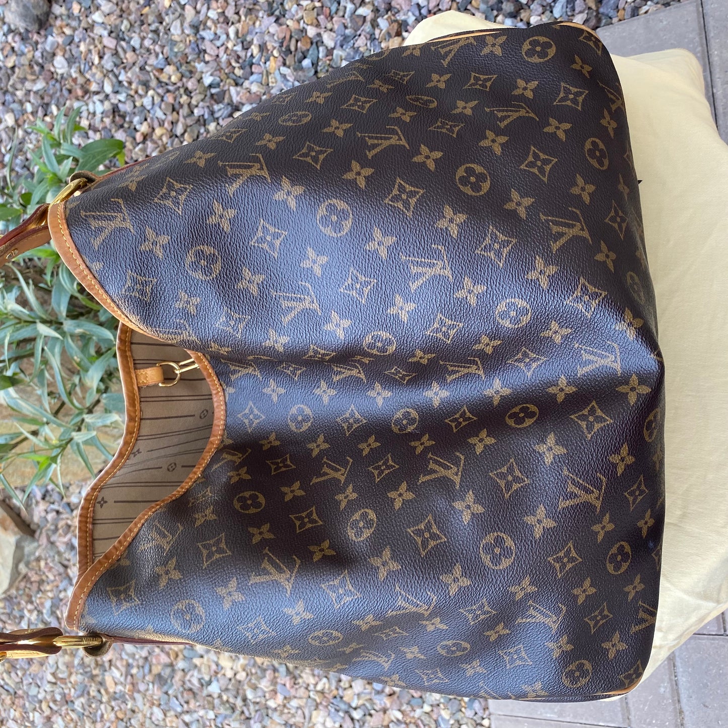 Louis Vuitton Monogram Delightful GM Hobo