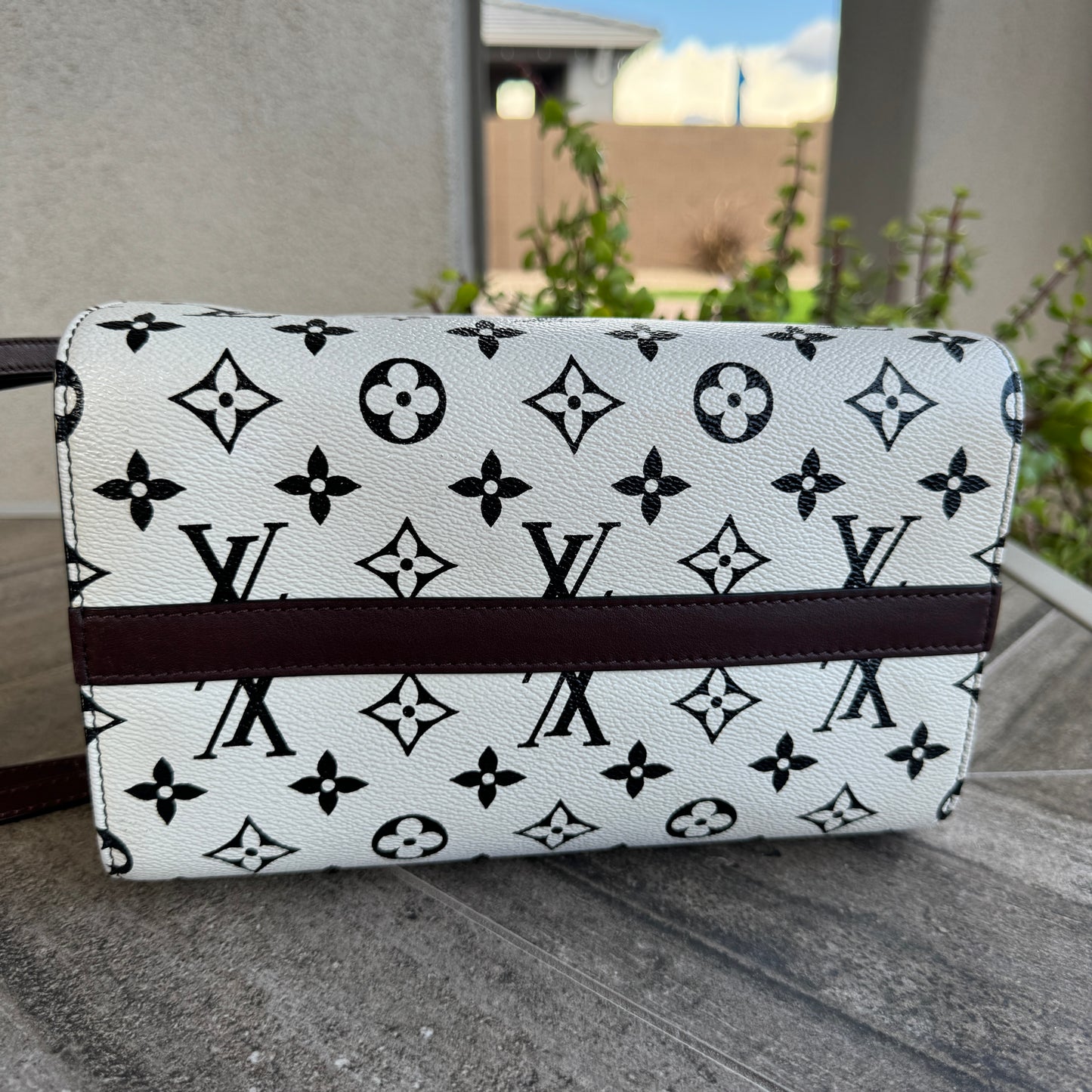 Louis Vuitton Monogram Speedy Amazon PM
