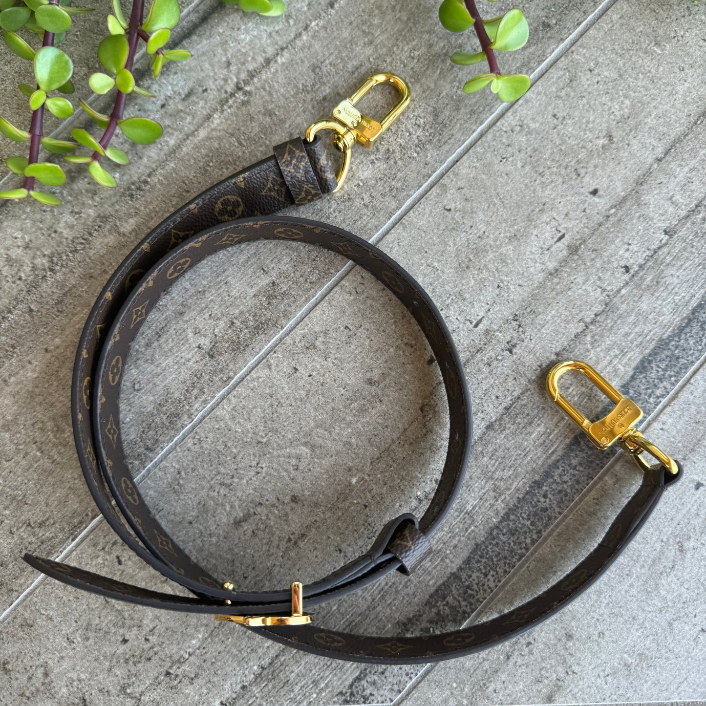 Louis Vuitton x Nigo Monogram Canvas Shoulder Strap