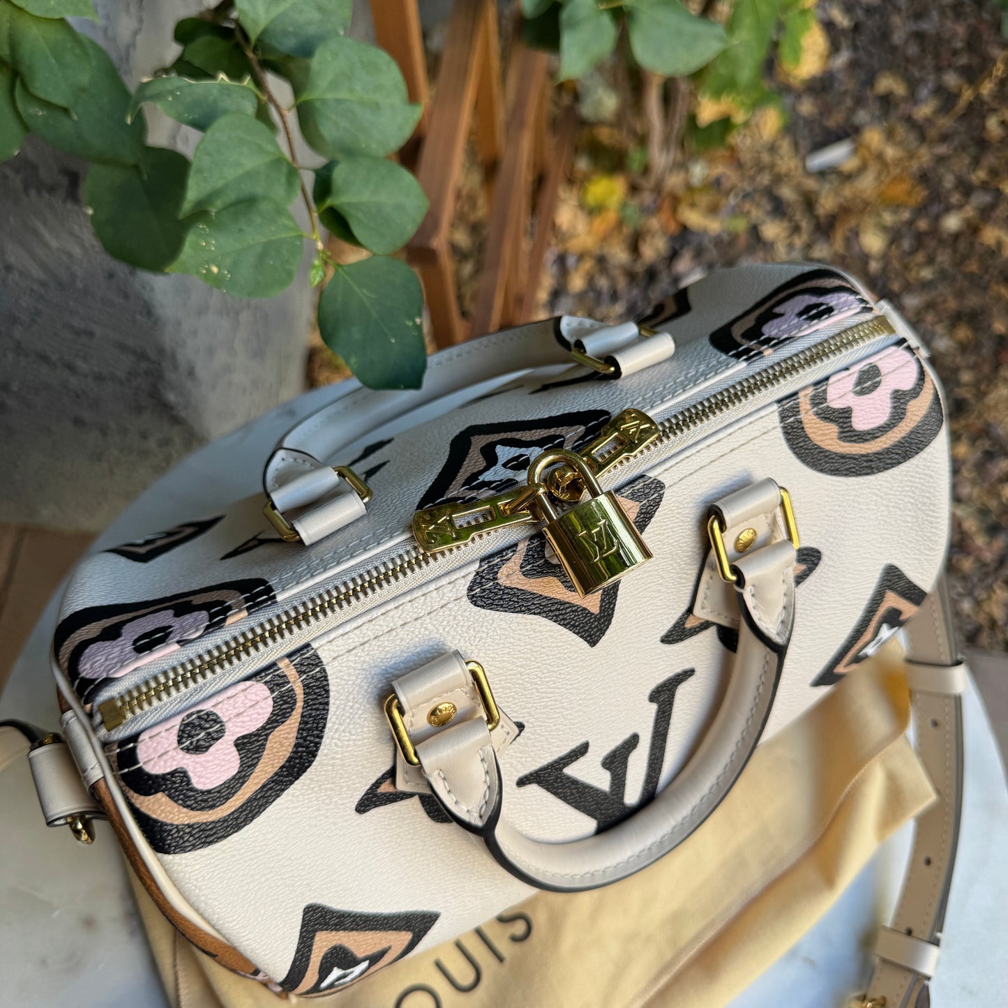 Louis Vuitton Wild at Heart Speedy Bandoulière 25