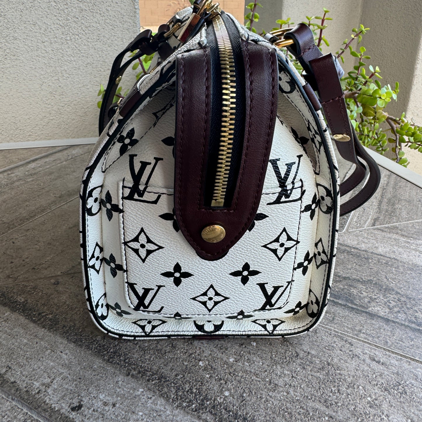 Louis Vuitton Monogram Speedy Amazon PM