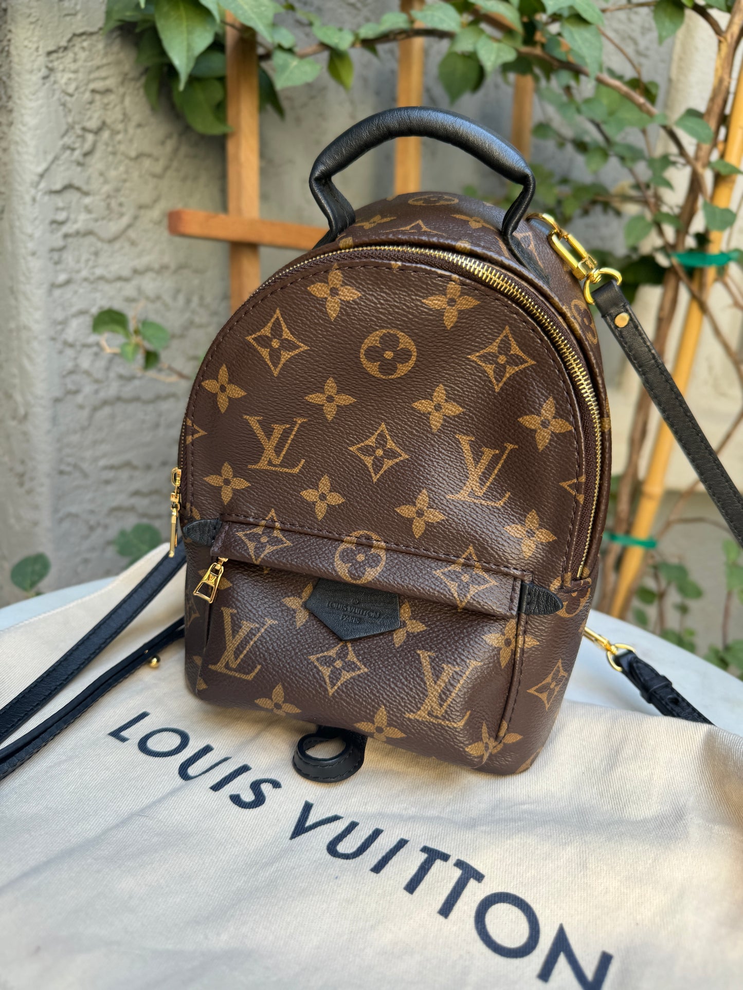 Louis Vuitton Monogram Mini Palm Springs Backpack