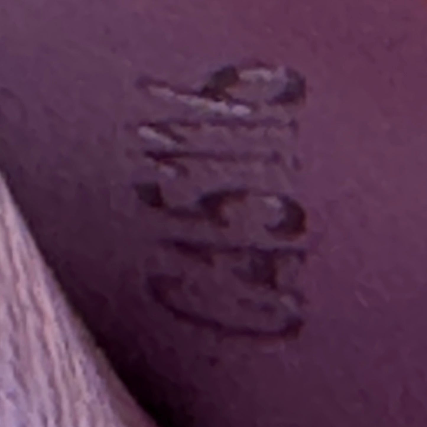 Louis Vuitton Tropical Epi Sarah Wallet