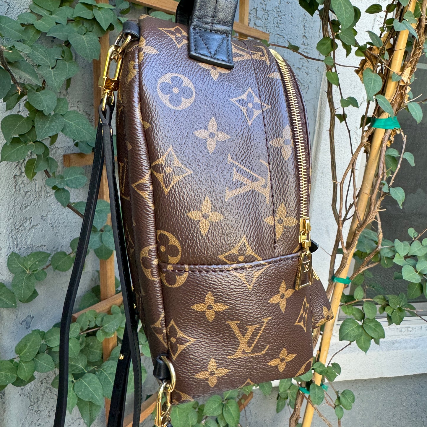 Louis Vuitton Monogram Mini Palm Springs Backpack