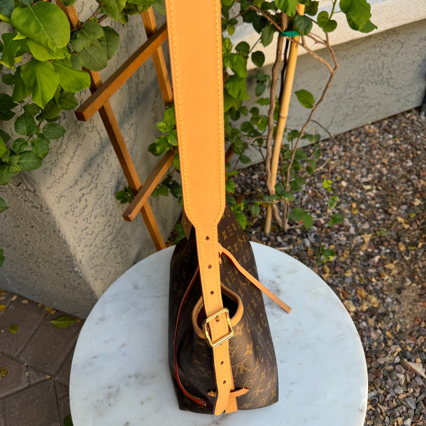 Louis Vuitton Monogram CarryAll PM