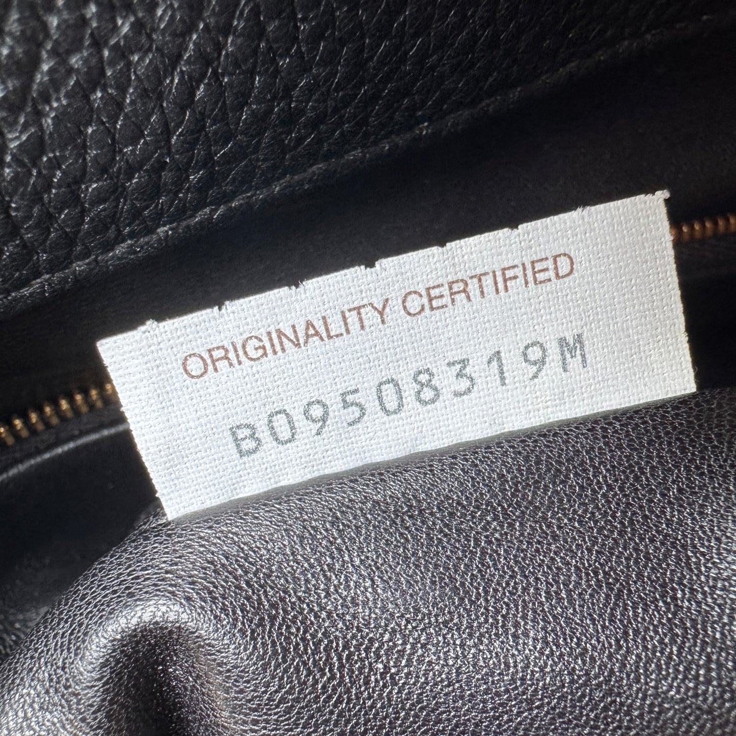 Bottega Veneta Mount Leather Tote