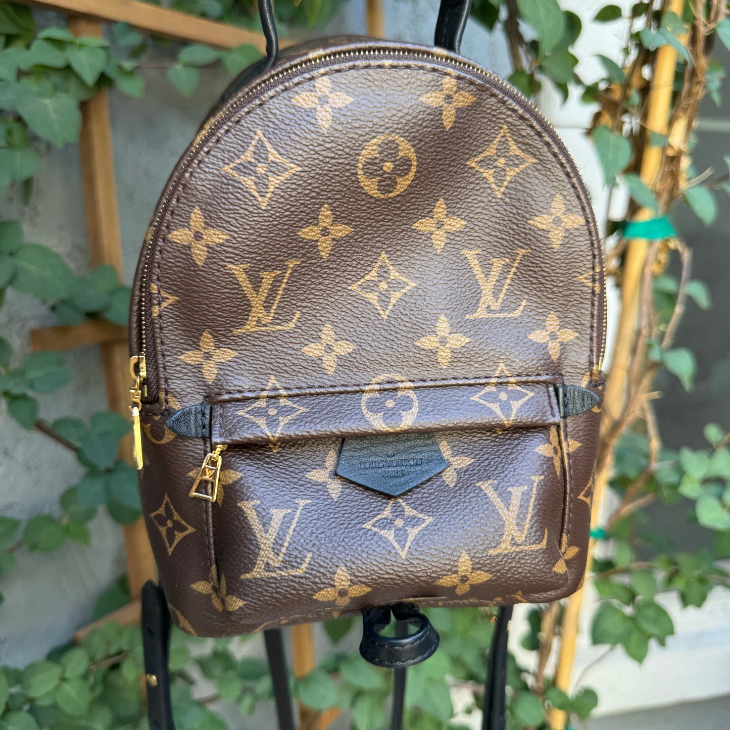 Louis Vuitton Monogram Mini Palm Springs Backpack