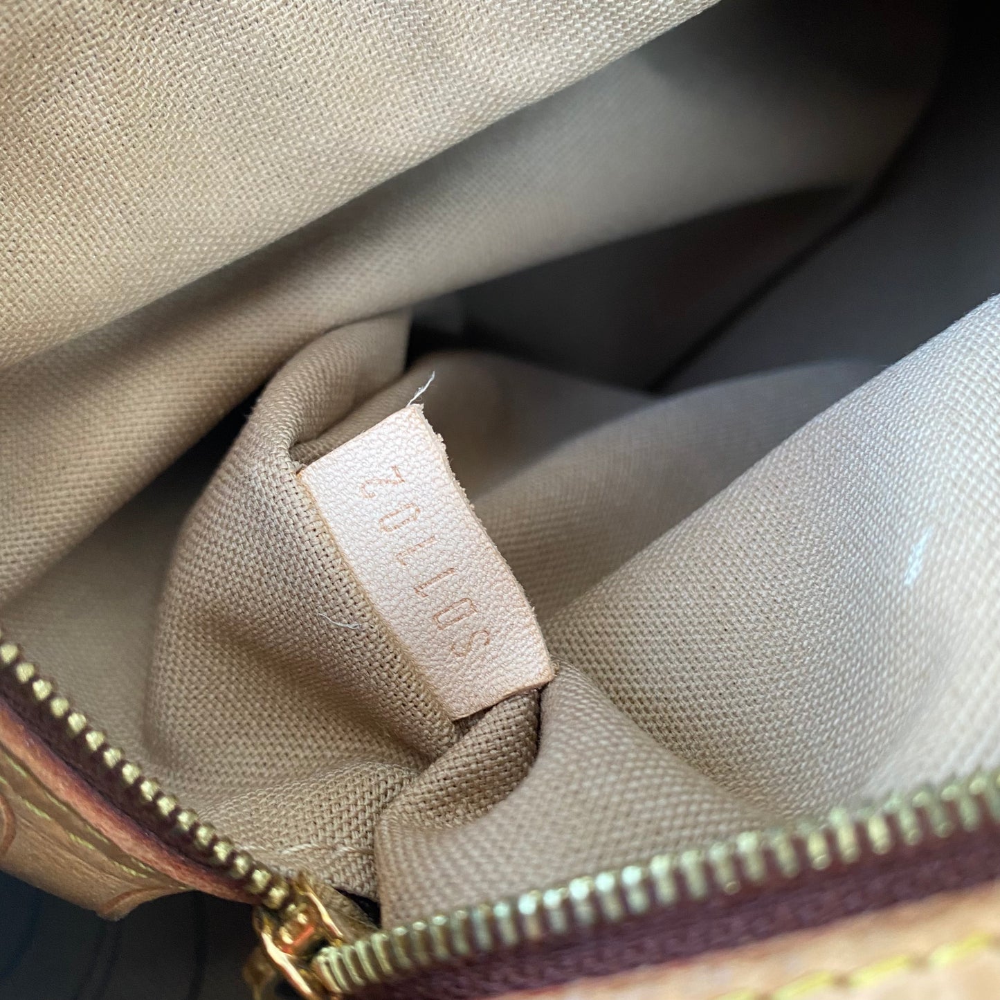 Louis Vuitton Monogram Delightful GM Hobo