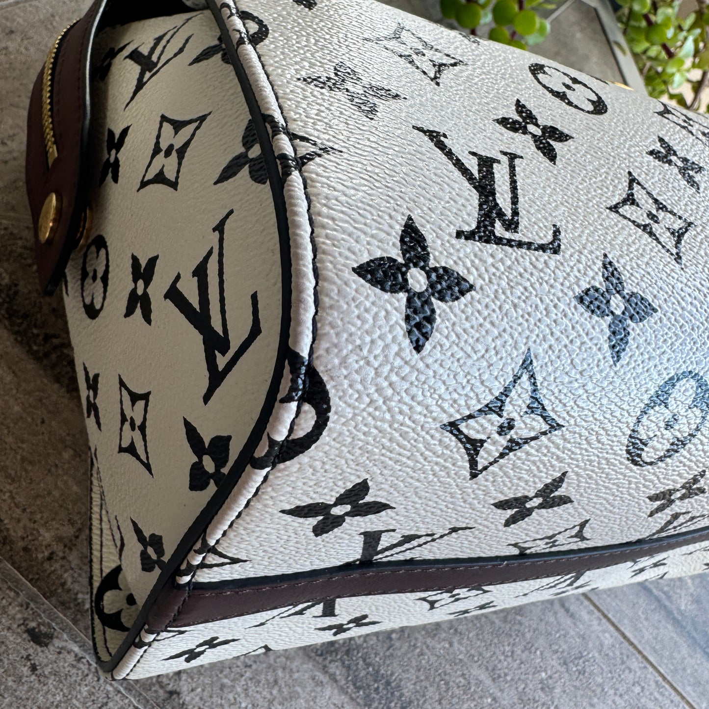 Louis Vuitton Monogram Speedy Amazon PM