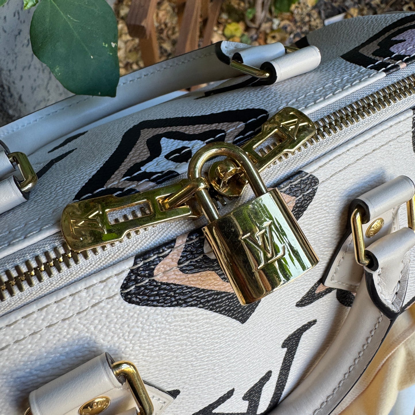 Louis Vuitton Wild at Heart Speedy Bandoulière 25