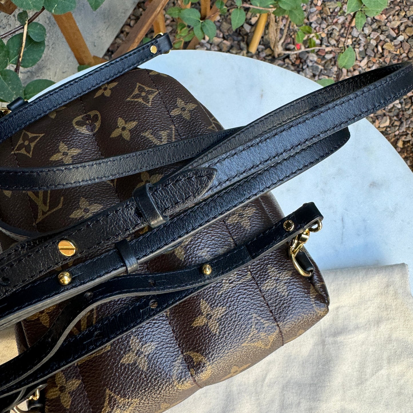 Louis Vuitton Monogram Mini Palm Springs Backpack