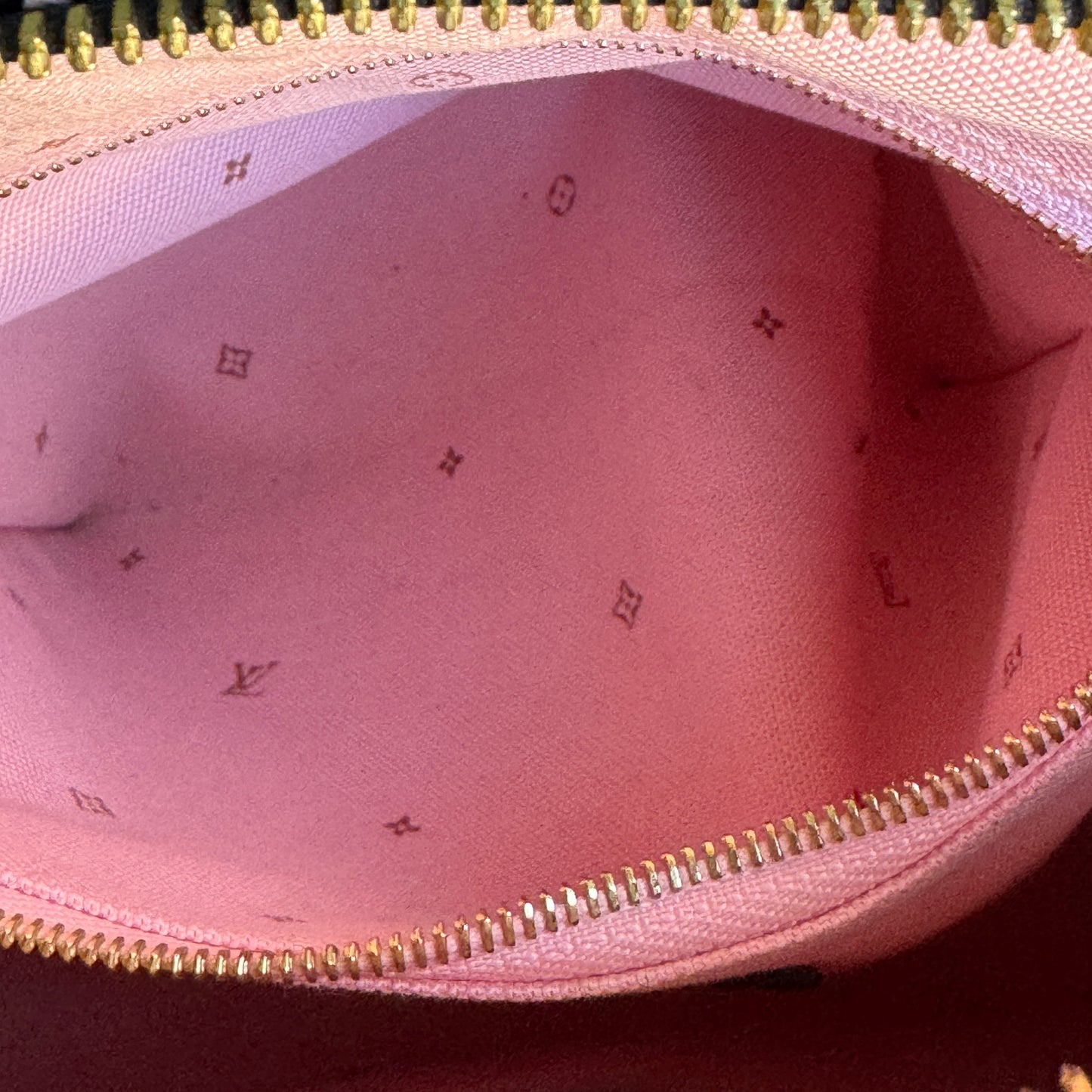 Louis Vuitton Monogram Fall for You Speedy Bandoulière 25