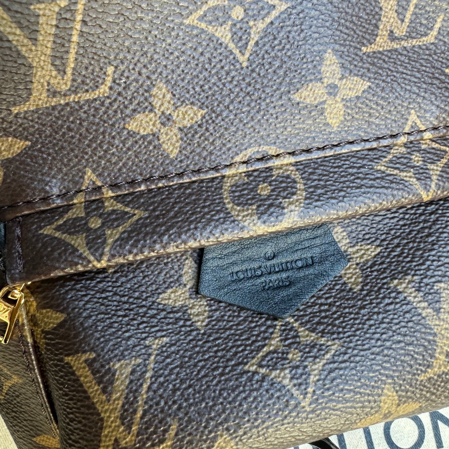 Louis Vuitton Monogram Mini Palm Springs Backpack