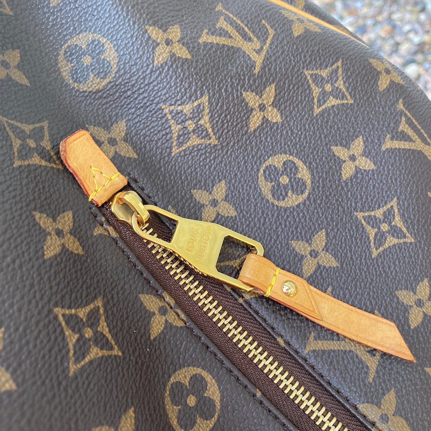 Louis Vuitton Monogram Delightful GM Hobo
