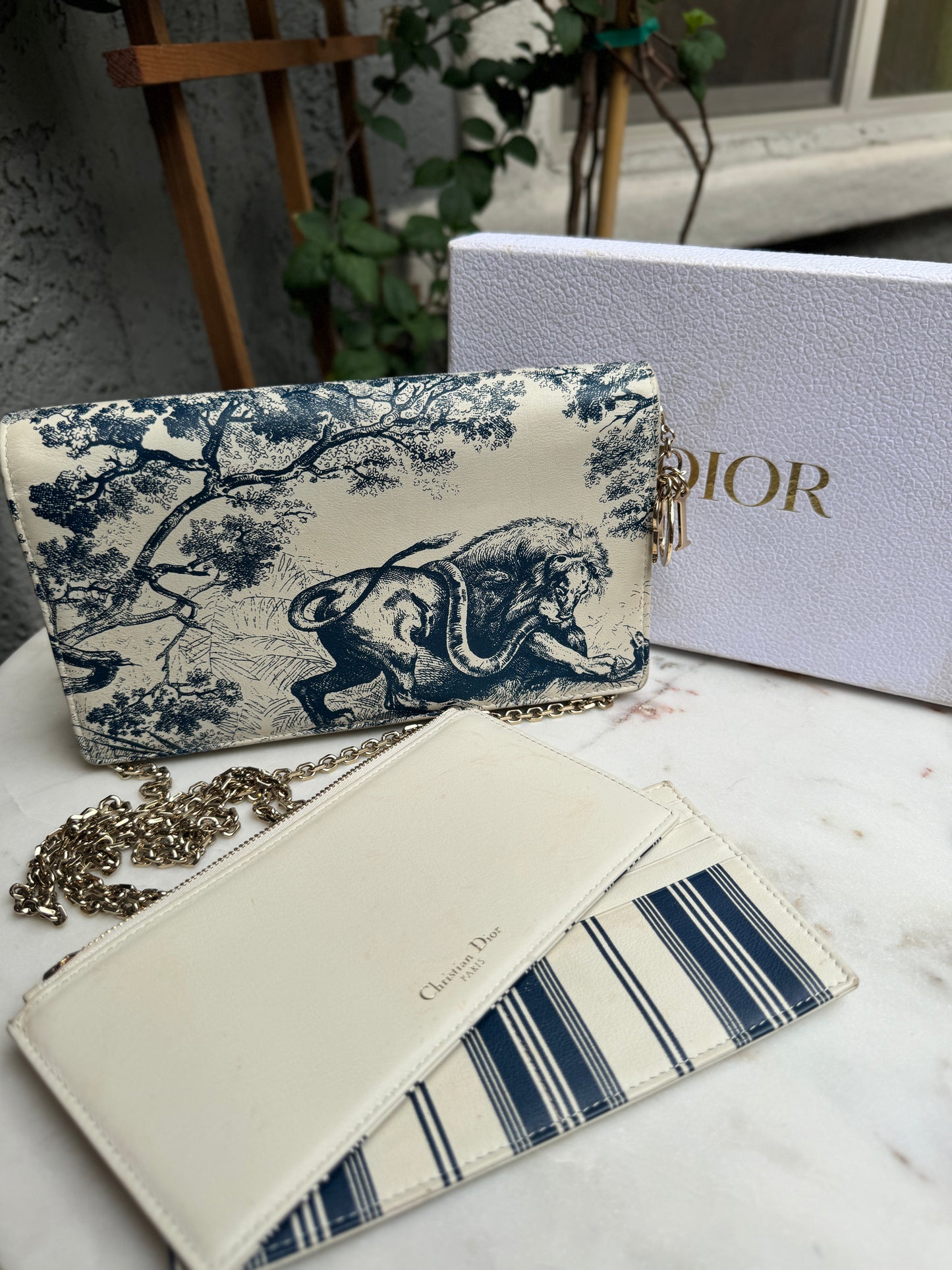 Christian Dior Toile De Jouy Chain Crossbody