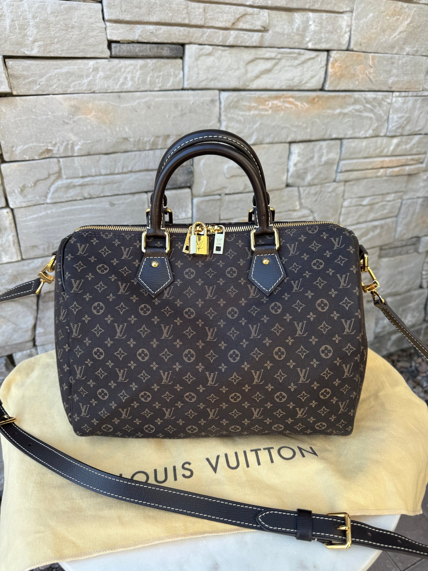 Louis Vuitton Monogram Mini Lin Speedy Bandouliere 30