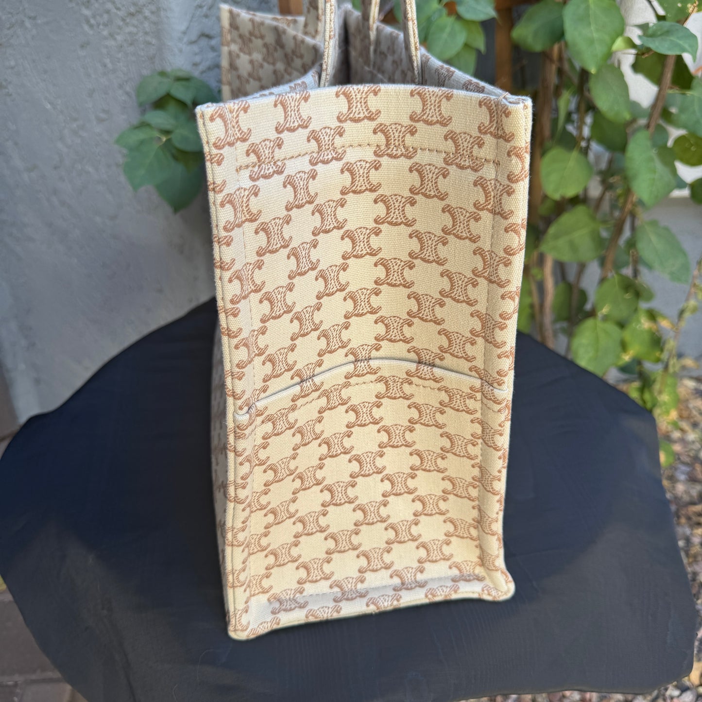 Celine Large Cabas Thais Triomphe Canvas Print Tote