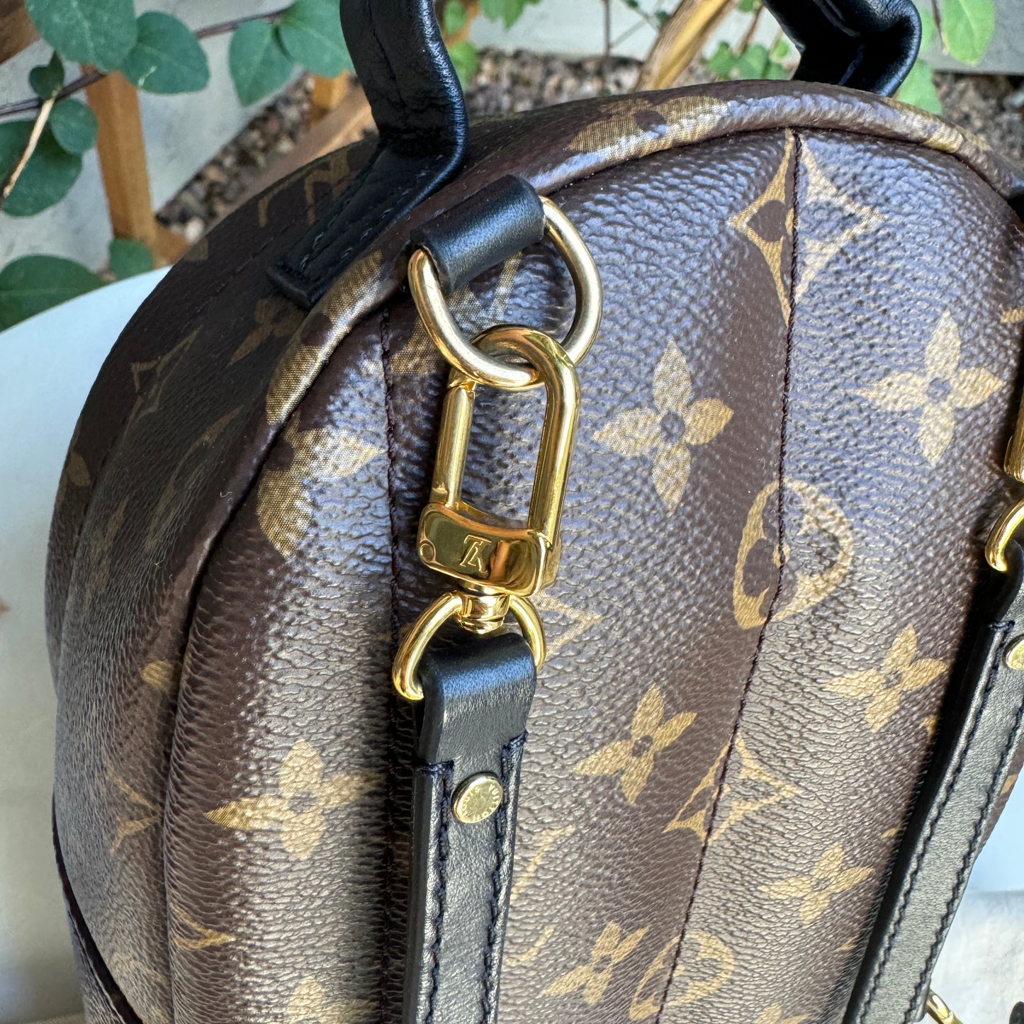 Louis Vuitton Monogram Mini Palm Springs Backpack