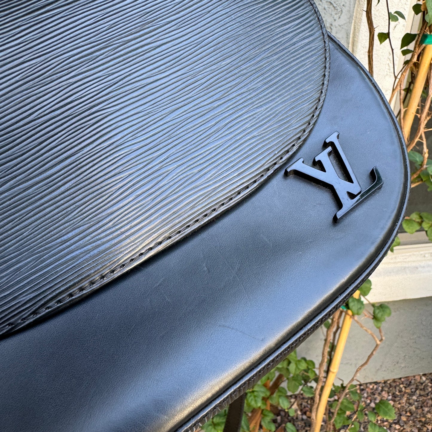 Louis Vuitton Epi Leather Luna