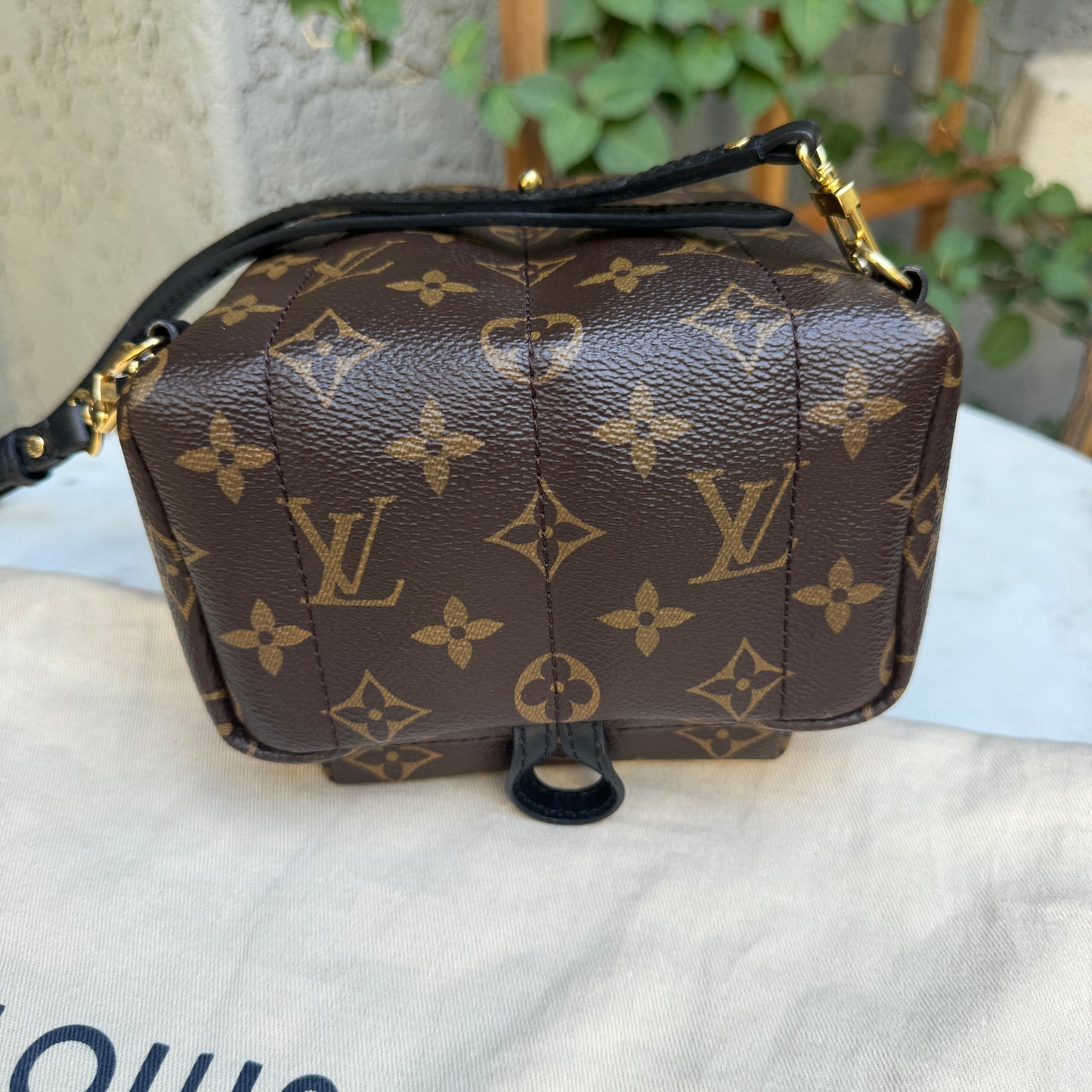 Louis Vuitton Monogram Mini Palm Springs Backpack
