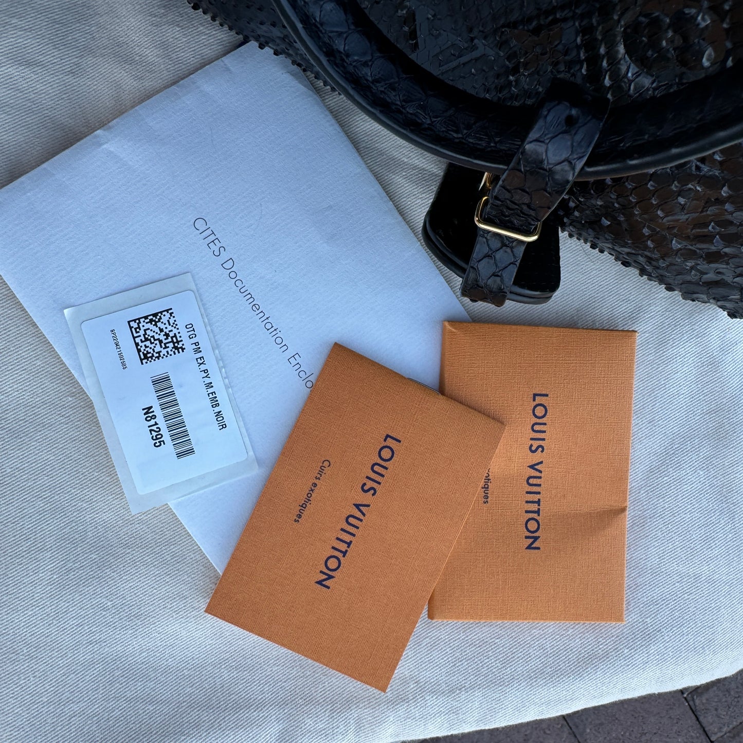 Louis Vuitton Python Onthego PM Crossbody