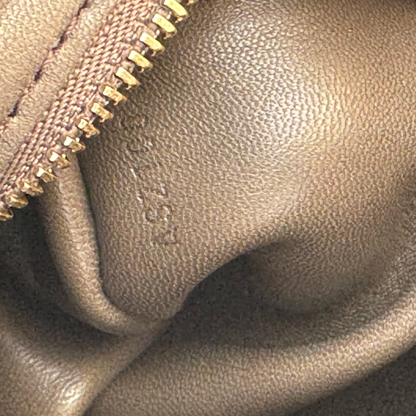 Louis Vuitton Python Artsy MM