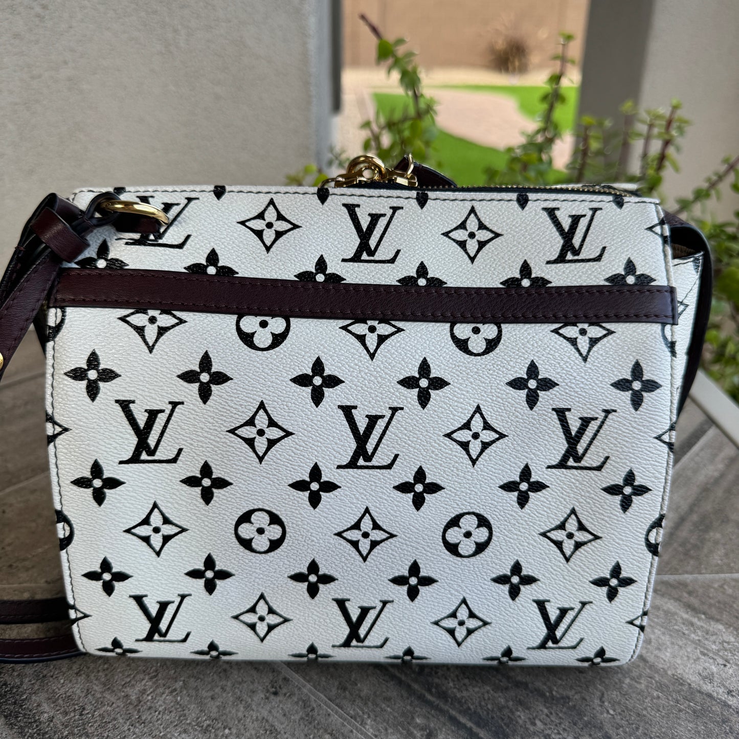 Louis Vuitton Monogram Speedy Amazon PM