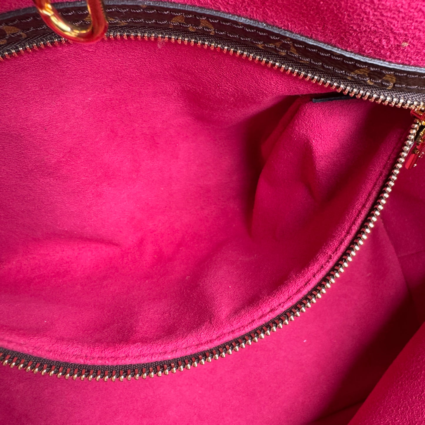 Louis Vuitton Monogram Teddy Neverfull MM