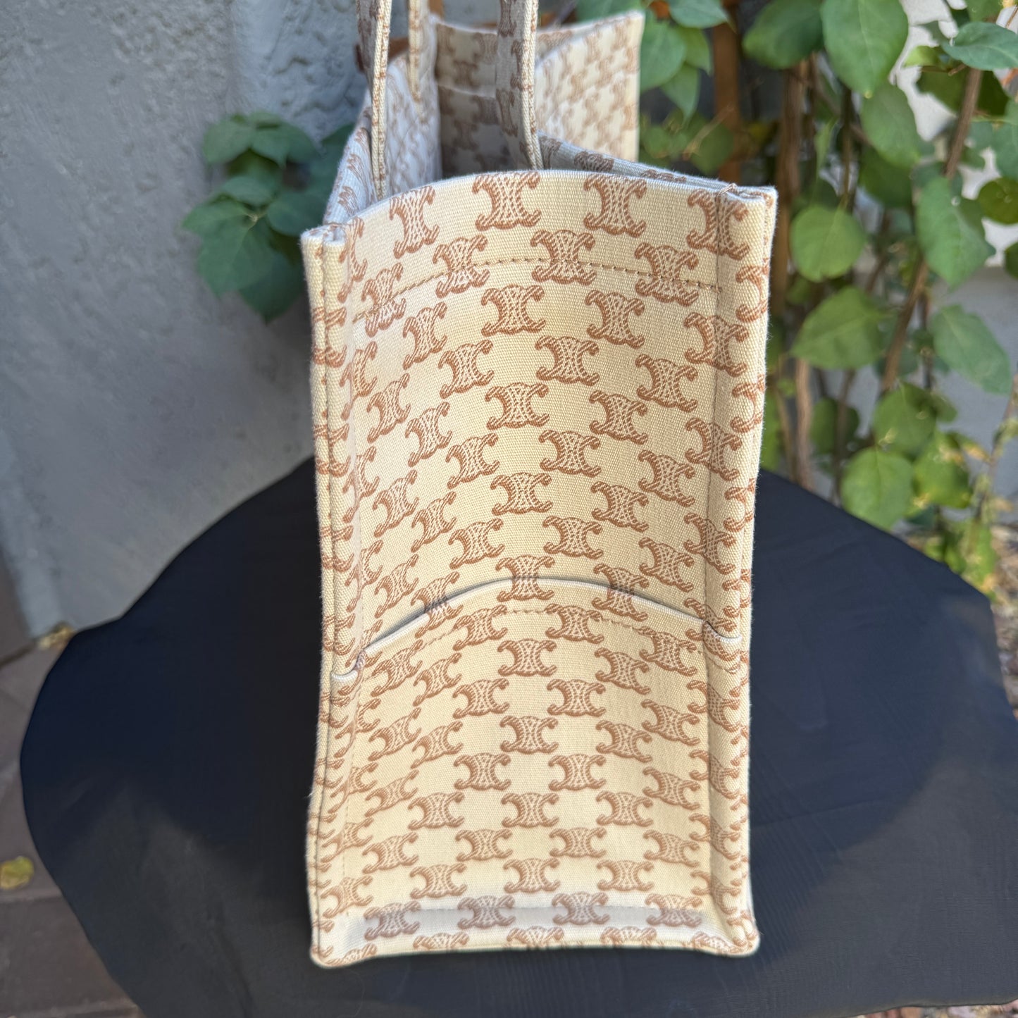Celine Large Cabas Thais Triomphe Canvas Print Tote