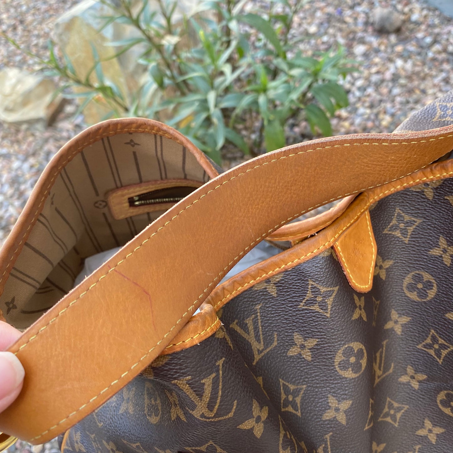 Louis Vuitton Monogram Delightful GM Hobo
