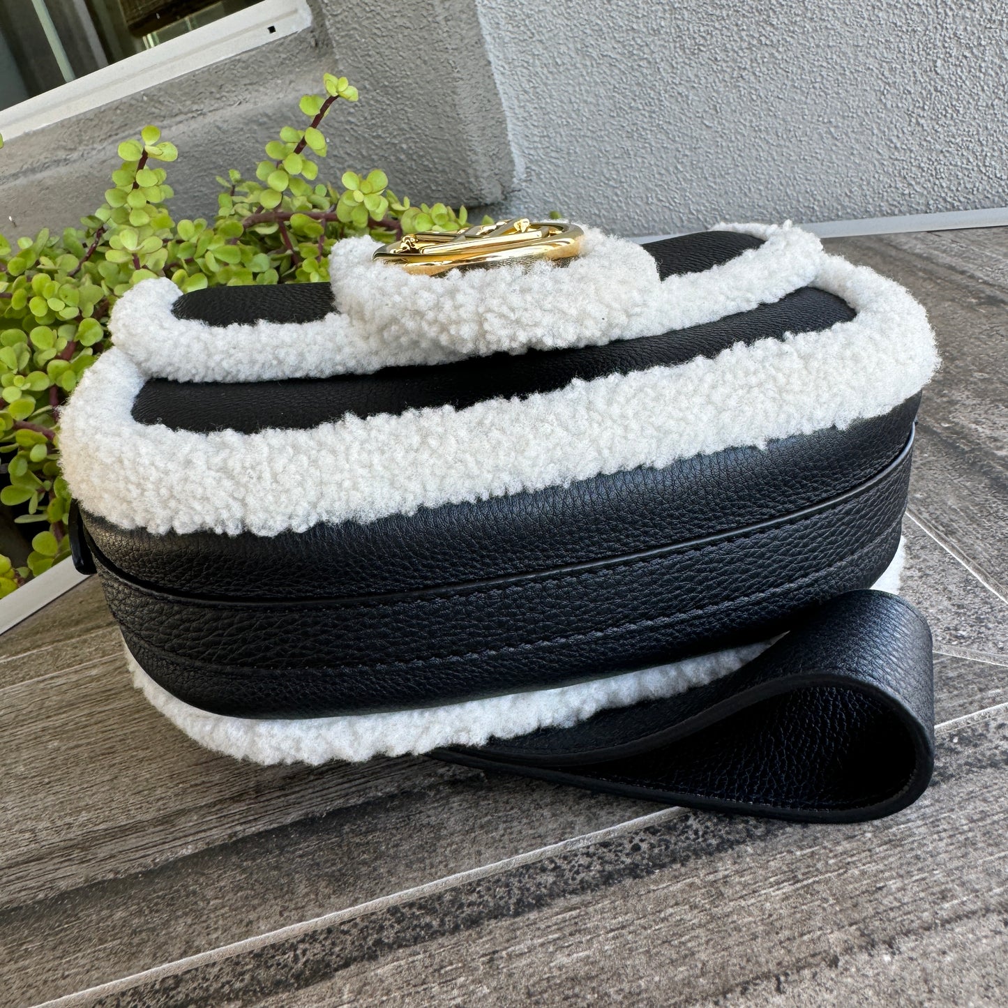 Louis Vuitton Shearling Pont 9 Soft PM