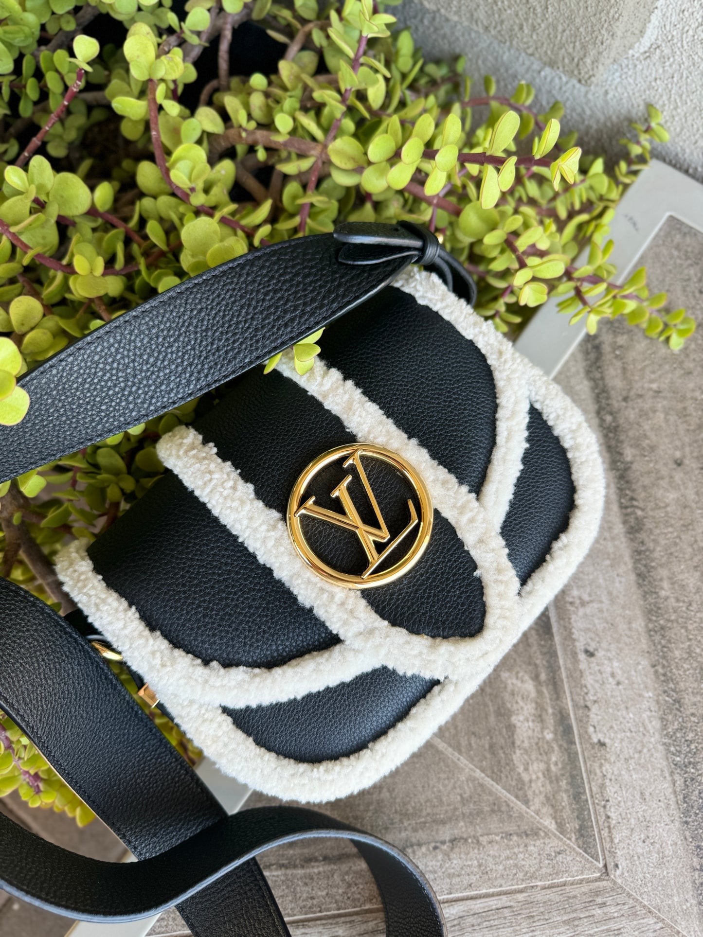 Louis Vuitton Shearling Pont 9 Soft PM