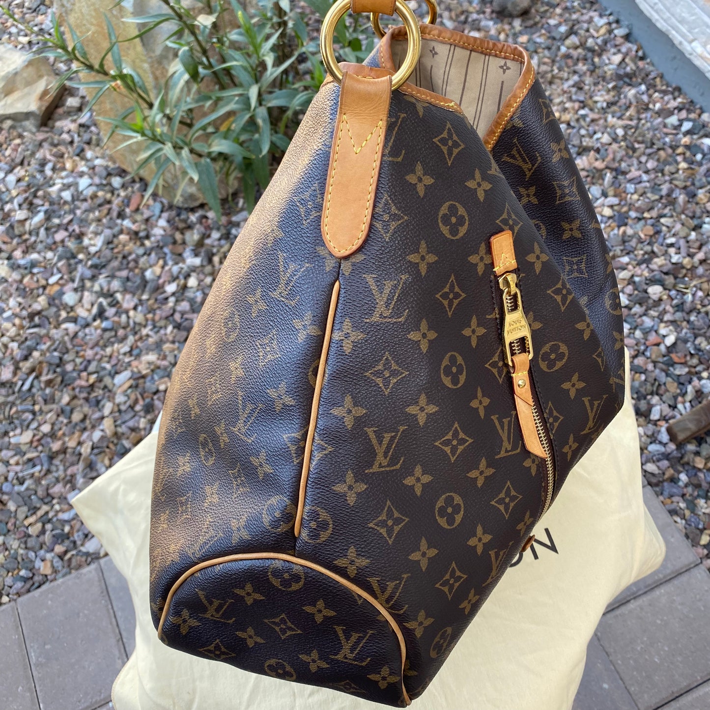 Louis Vuitton Monogram Delightful GM Hobo