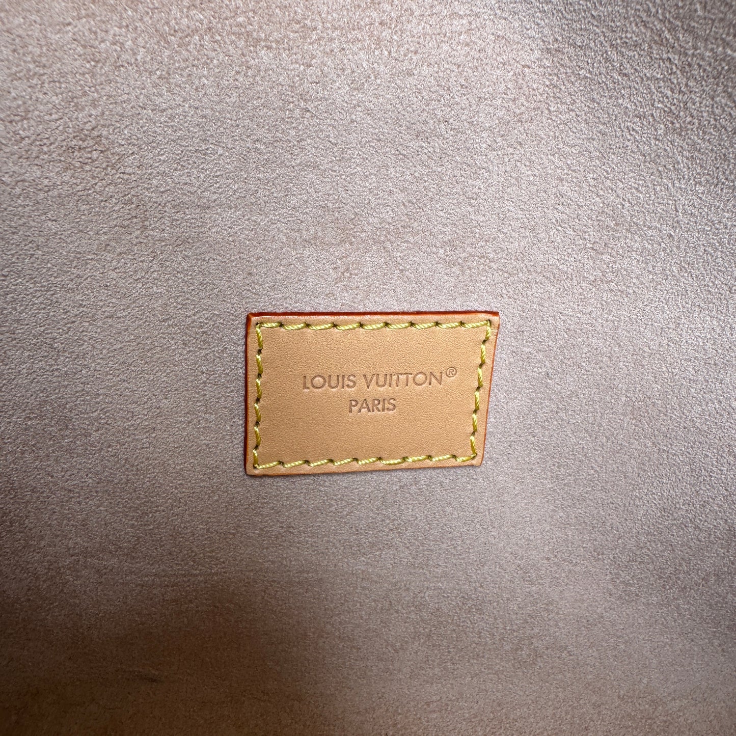 Louis Vuitton Monogram Dune Camille Pochette