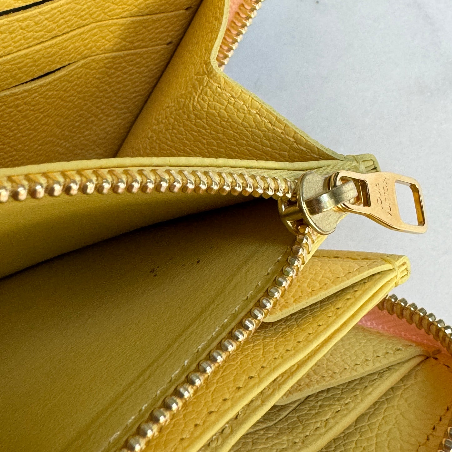 Louis Vuitton Spring in the City Monogram Empreinte Leather Zippy Wallet