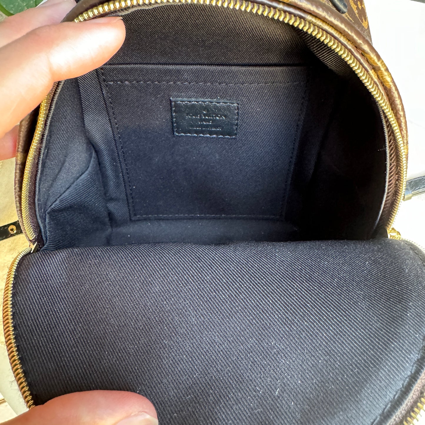 Louis Vuitton Monogram Mini Palm Springs Backpack