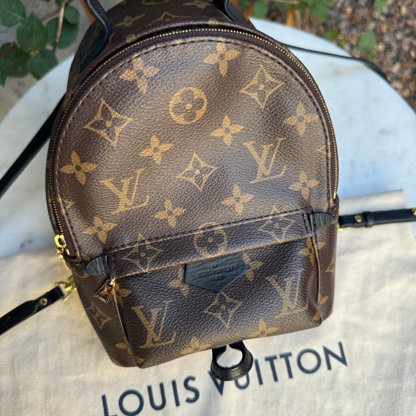 Louis Vuitton Monogram Mini Palm Springs Backpack