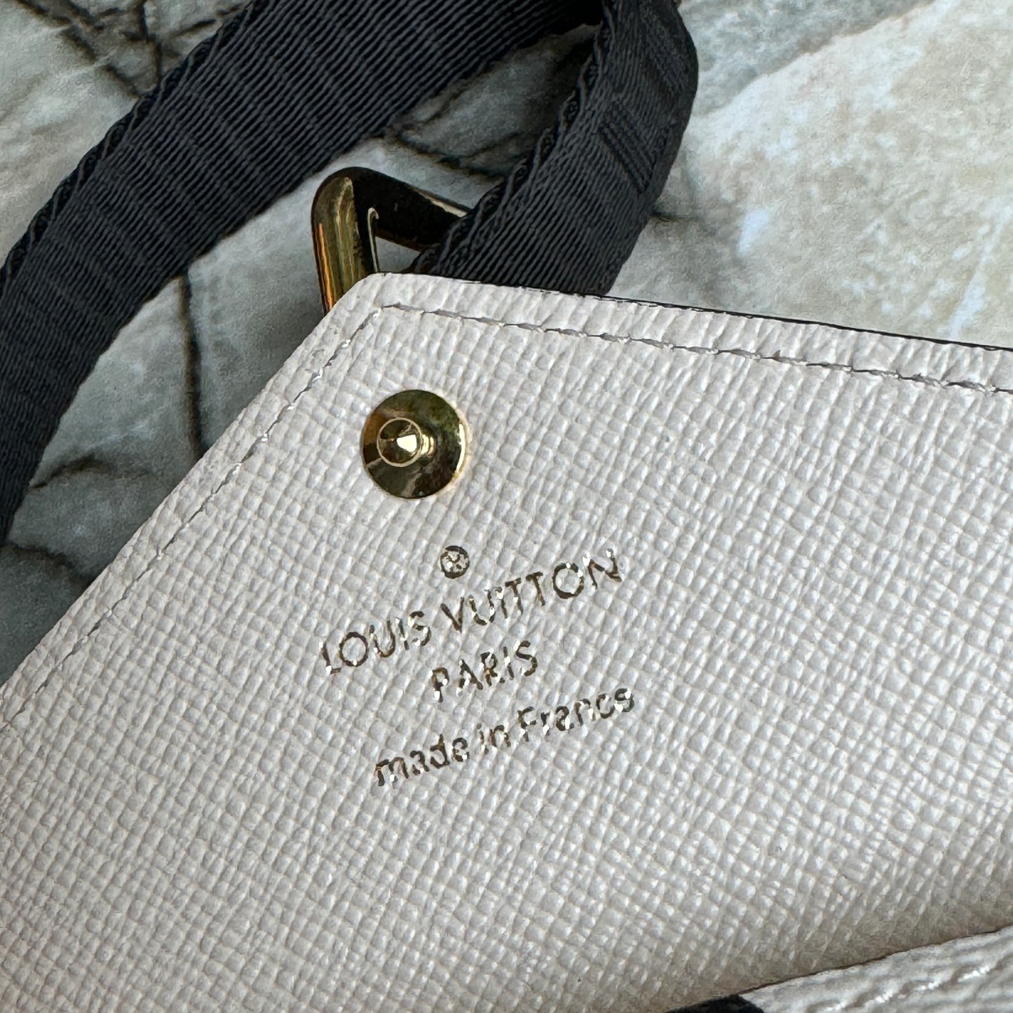 Louis Vuitton Felicie Strap & Go Wild at Heart Monogram Giant Crossbody