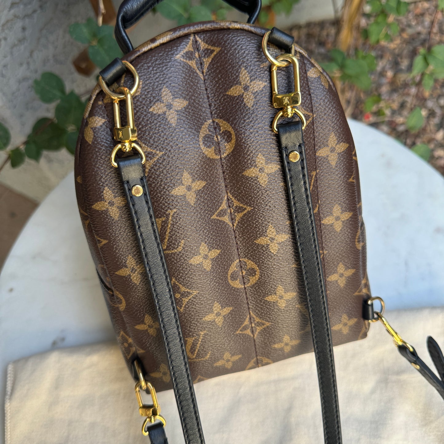 Louis Vuitton Monogram Mini Palm Springs Backpack