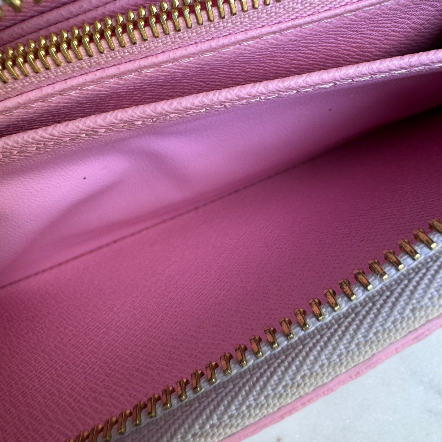 Louis Vuitton Spring in the City Zippy Wallet