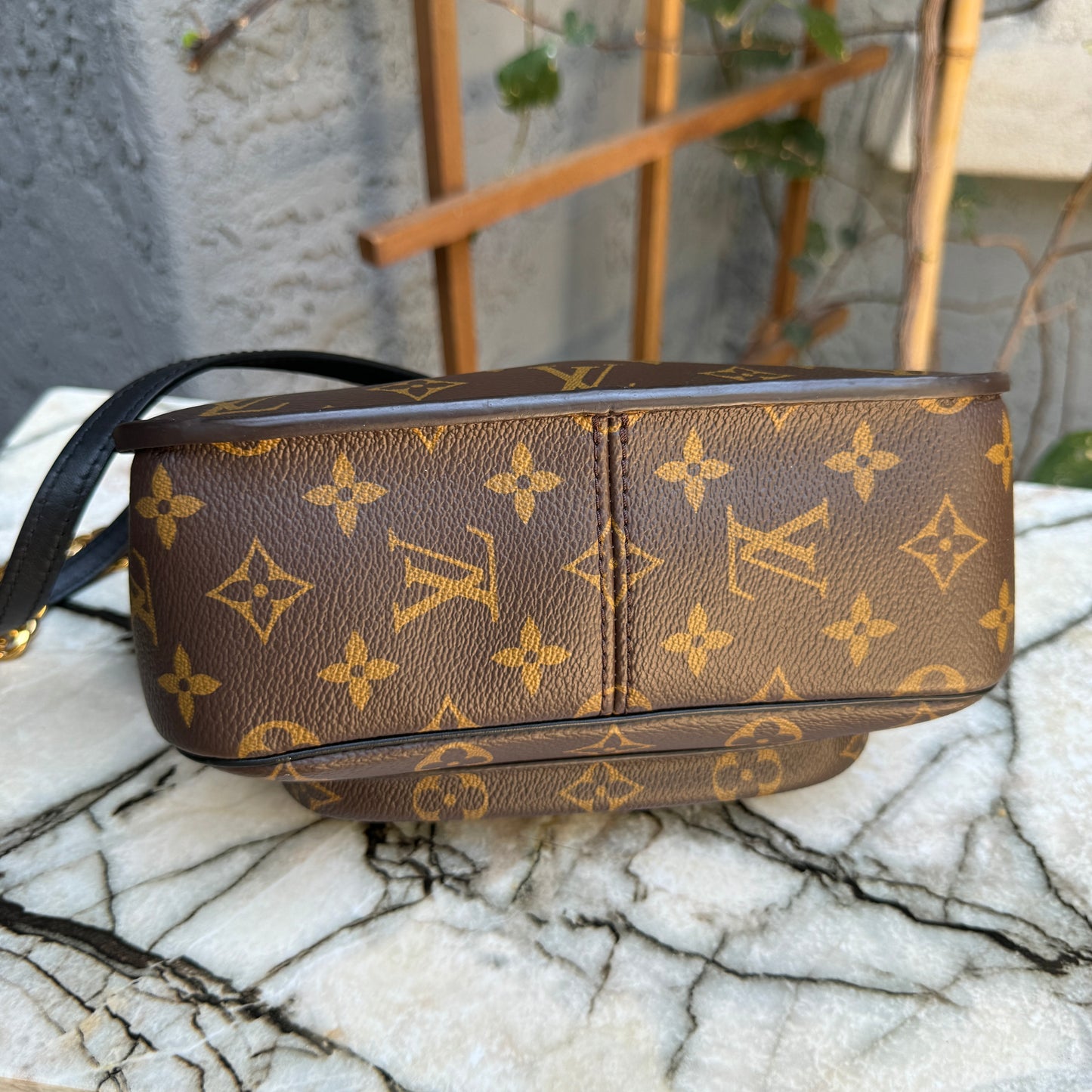 Louis Vuitton Monogram Passy Crossbody