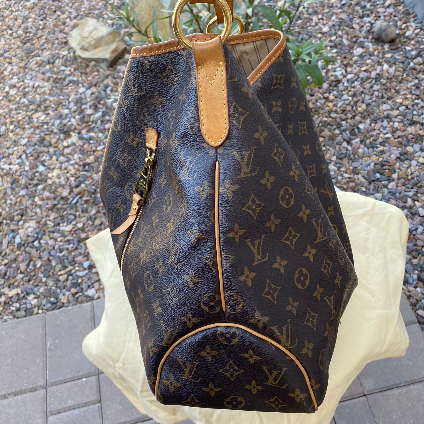 Louis Vuitton Monogram Delightful GM Hobo